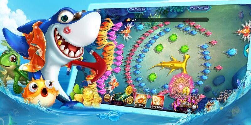 Một vài nét sơ lược về bắn cá